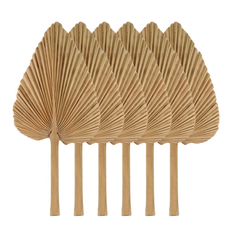Palm Leaf Dried - AT84-6PCS Dried Palm Leaves Natural Dried