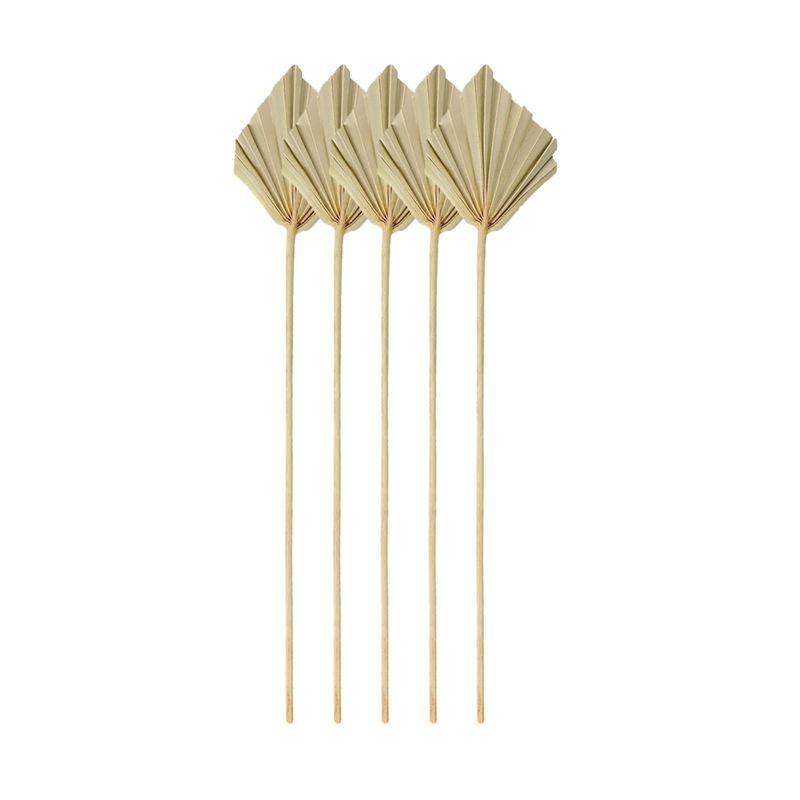 Palm Leaf Dried - A67P-Boho Dried Palm Spears Small Natural