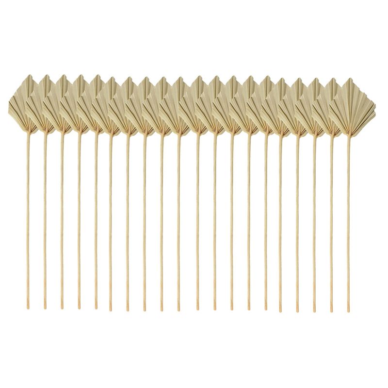 Palm Leaf Dried - ABYN-Boho Dried Palm Spears Small Natural