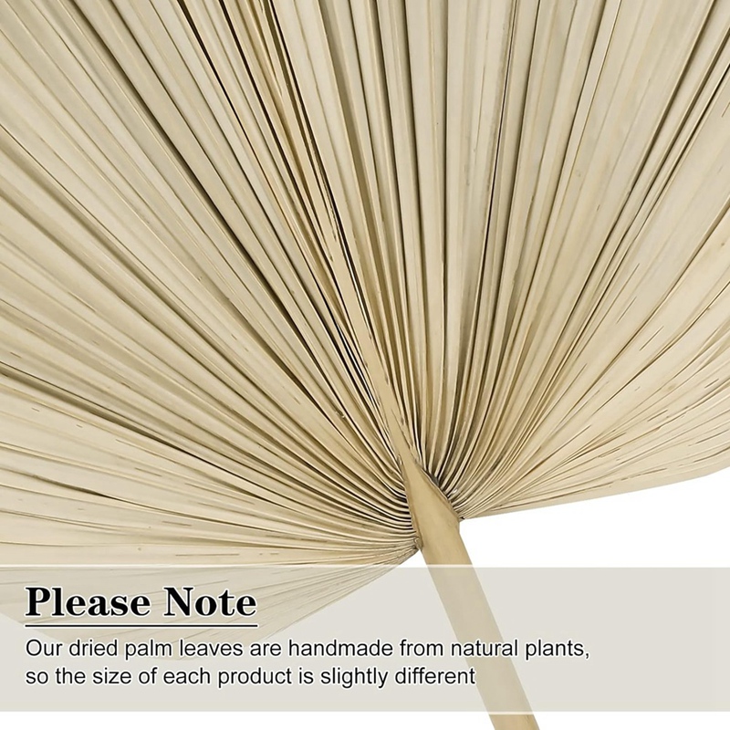 Palm Leaf Dried - New 6PCS Dried Palm Leaves Natural