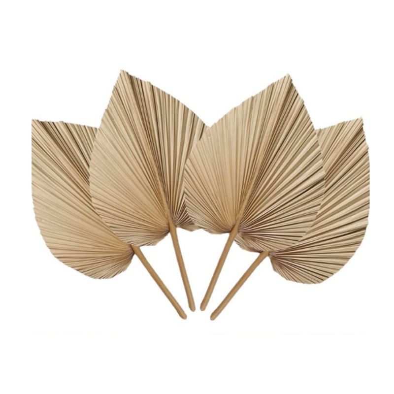 Palm Leaf Dried - A27F-6Pcs Natural Tropical Dried Palm Leaves