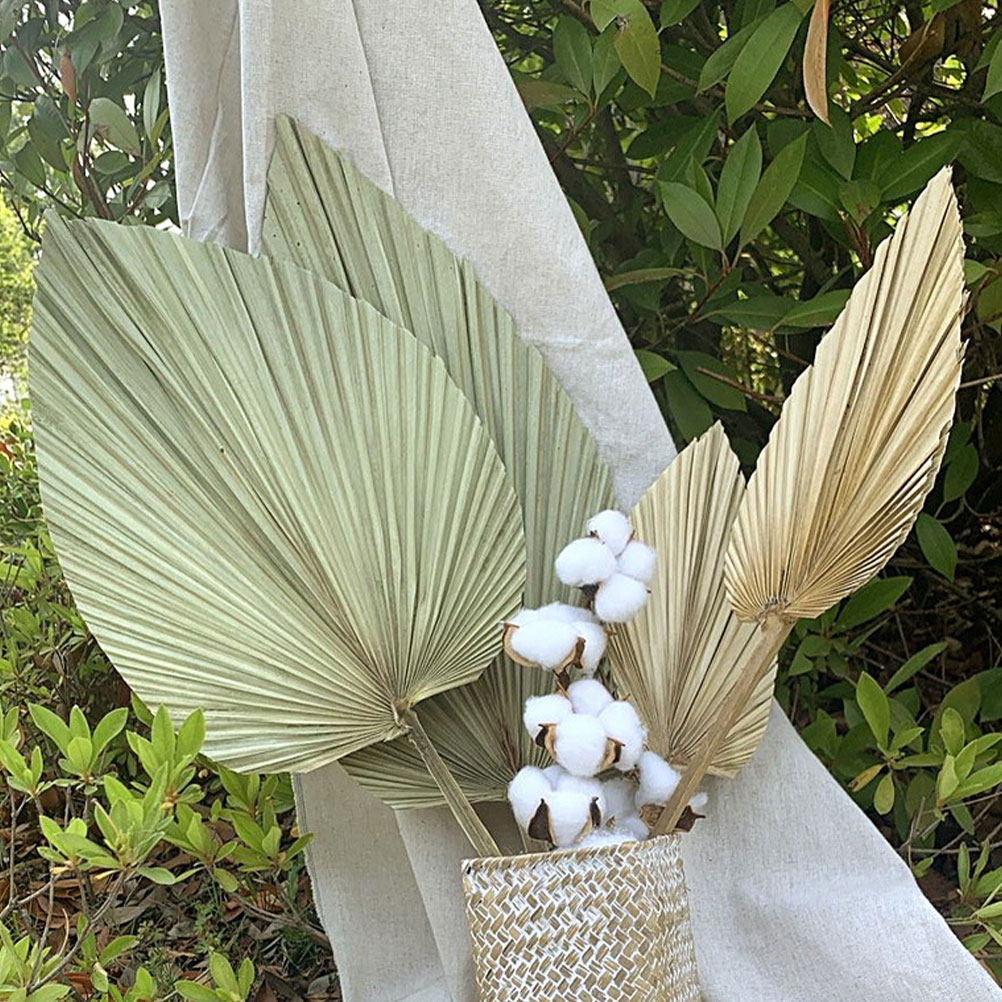 1Pcs Natural Dried Palm Leaf W - Palm Leaf Dried 评论和价格