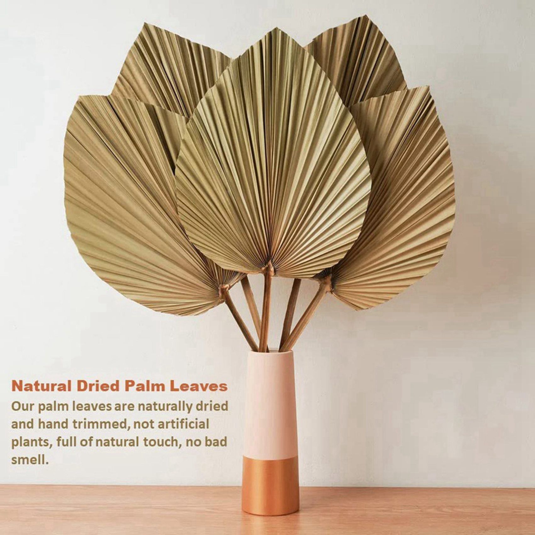 8 Pieces Natural Dried Palm Le - Palm Leaf Dried 评论和价格