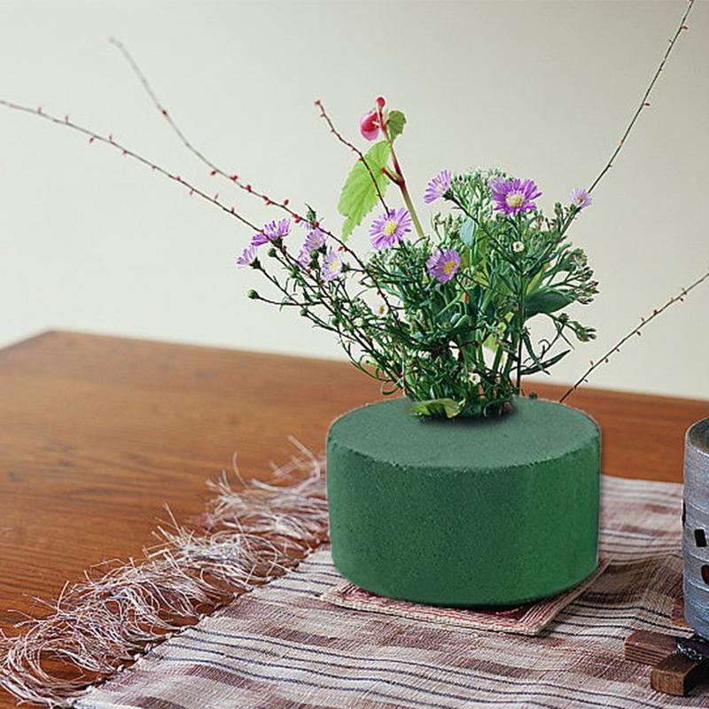 6Pcs Round Floral Foam Bricks  - Florist Flower Supply 评论和价格