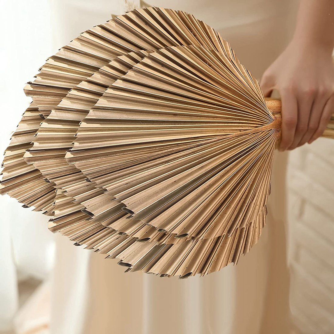 5Pcs Natural Dried Palm Leaves - Palm Leaf Dried 评论和价格