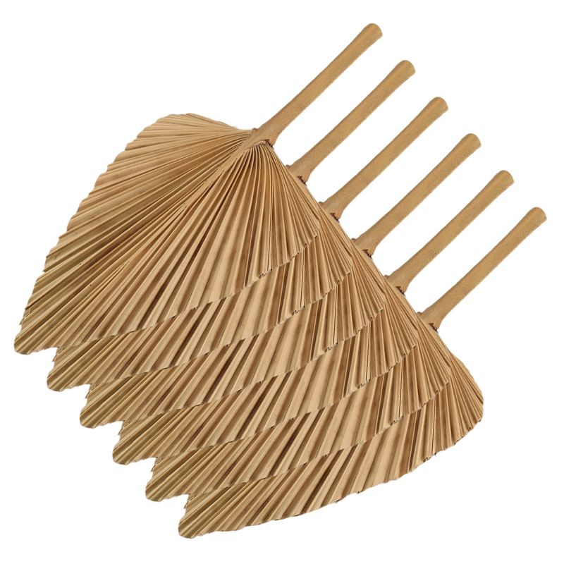AT84-6PCS Dried Palm Leaves Na - Palm Leaf Dried 评论和价格