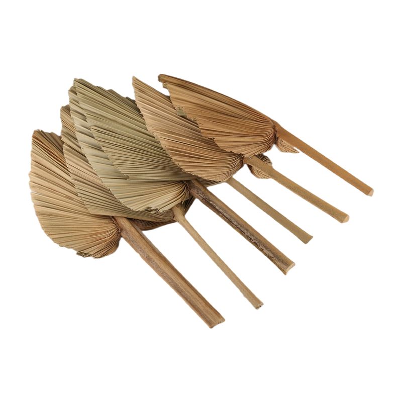 AT84-6PCS Dried Palm Leaves Na - Palm Leaf Dried 评论和价格