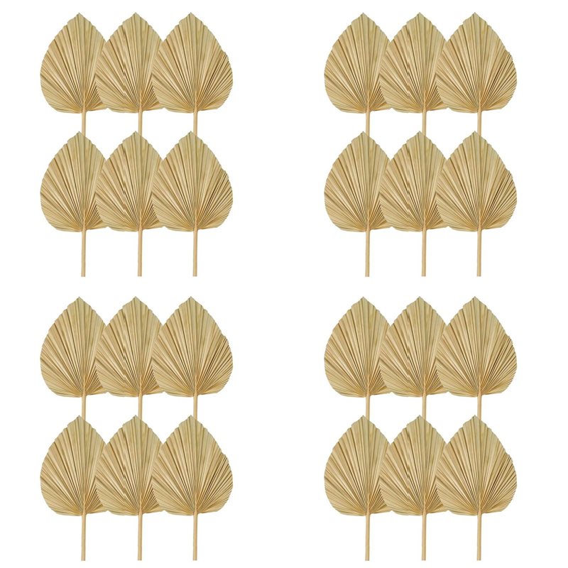 【CHRISTMAS 】24PCS Dried Palm L - Palm Leaf Dried 评论和价格