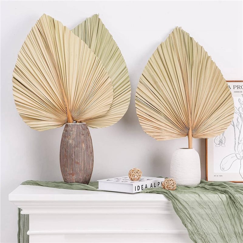 【CHRISTMAS 】24PCS Dried Palm L - Palm Leaf Dried 评论和价格