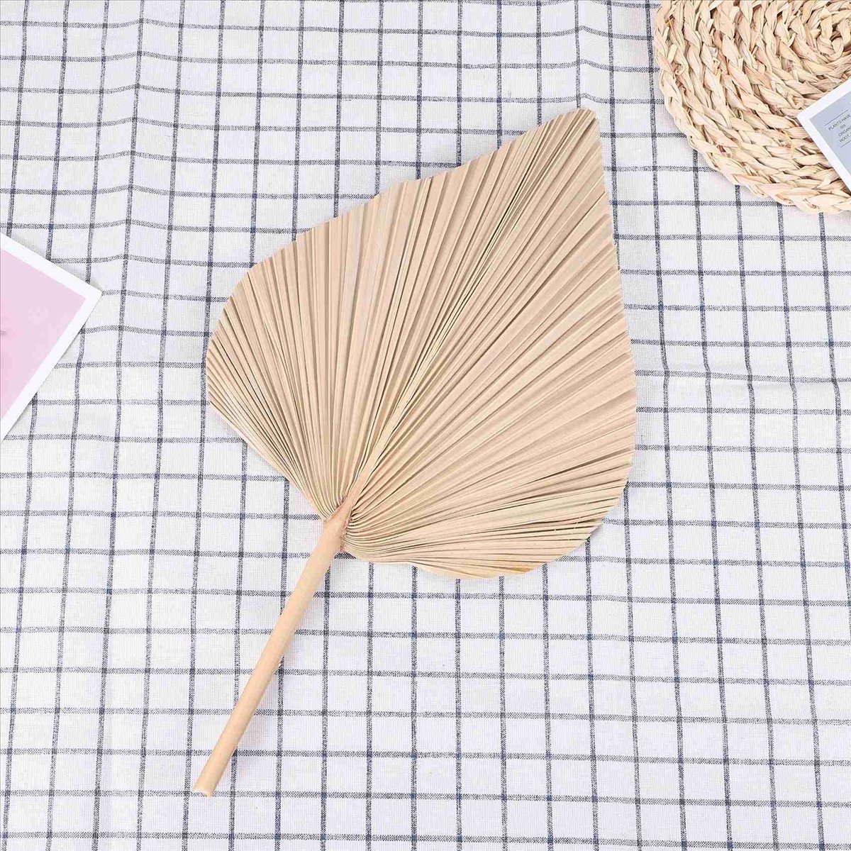 NOCM Dried Palm Leaves Room De - Palm Leaf Dried 评论和价格