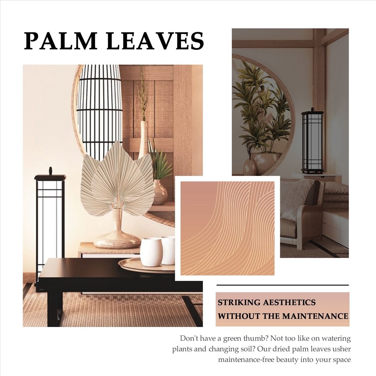 NOCM Dried Palm Leaves Room De - Palm Leaf Dried 评论和价格