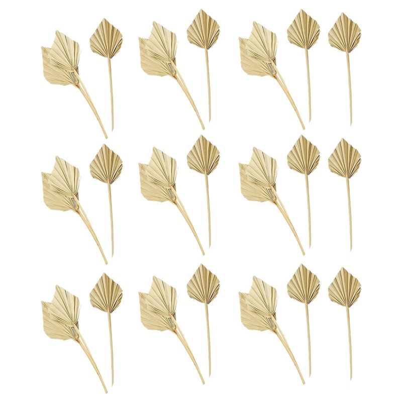 AS60-30 Pcs Boho Dried Palm Sp - Palm Leaf Dried 评论和价格