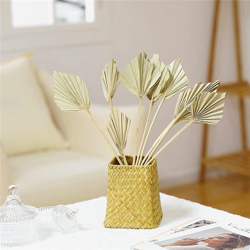 AS60-30 Pcs Boho Dried Palm Sp - Palm Leaf Dried 评论和价格