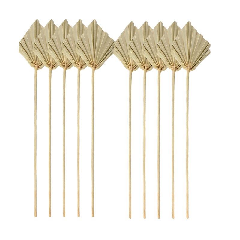 TFORU-Boho Dried Palm Spears S - Palm Leaf Dried 评论和价格