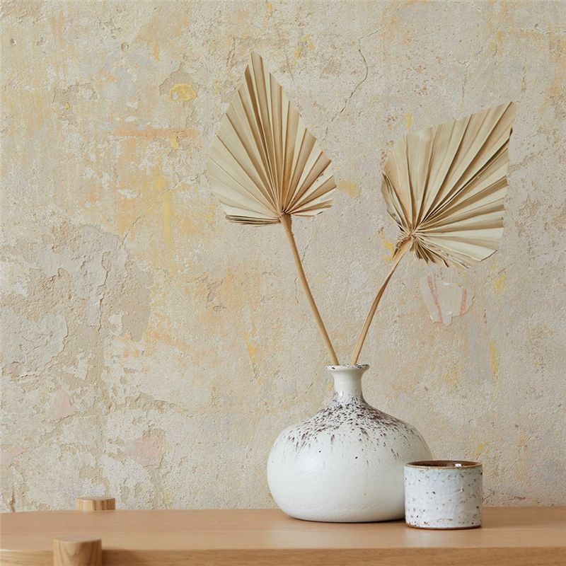 TFORU-Boho Dried Palm Spears S - Palm Leaf Dried 评论和价格