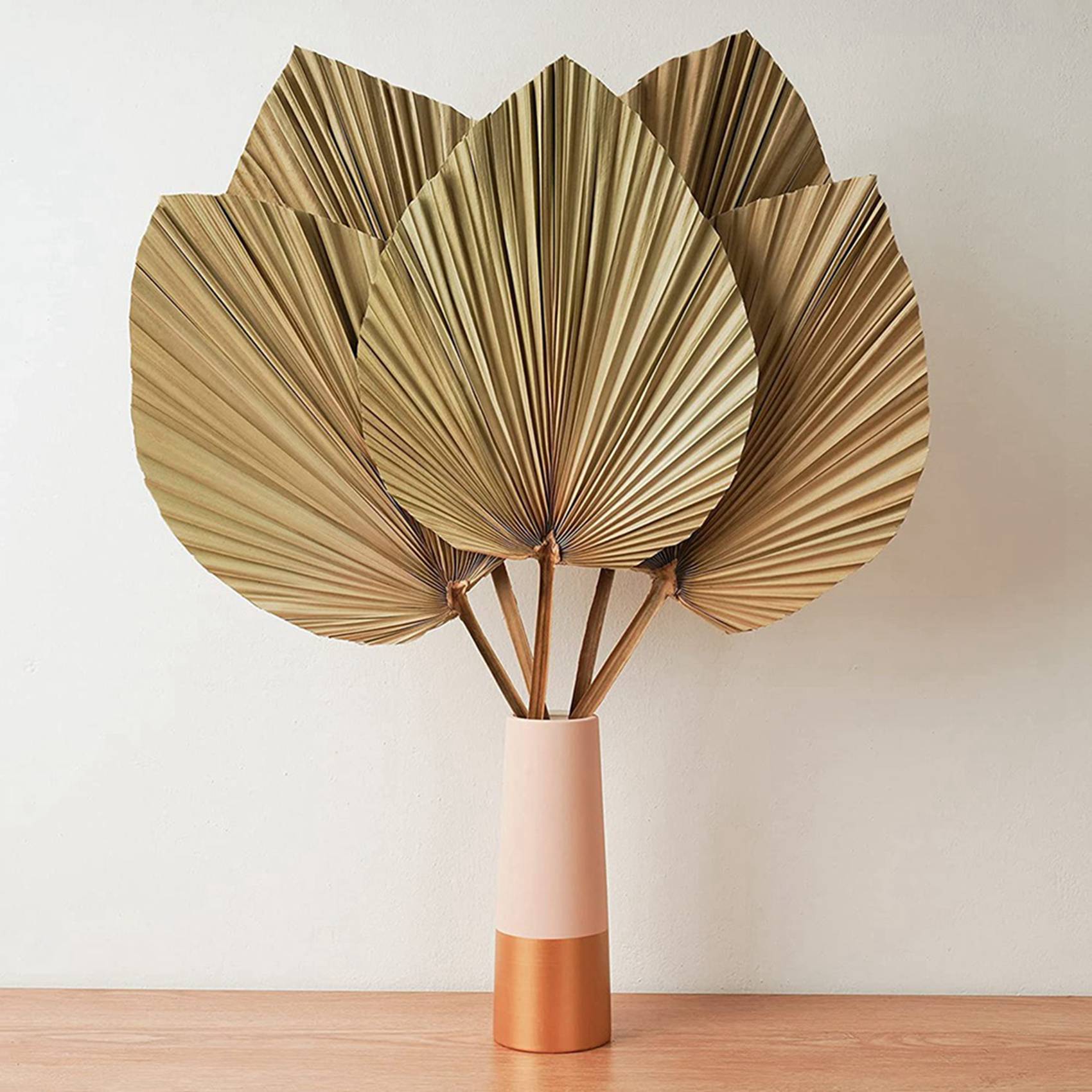 Dried Palm Leaves Room Decor 1 - Palm Leaf Dried 评论和价格