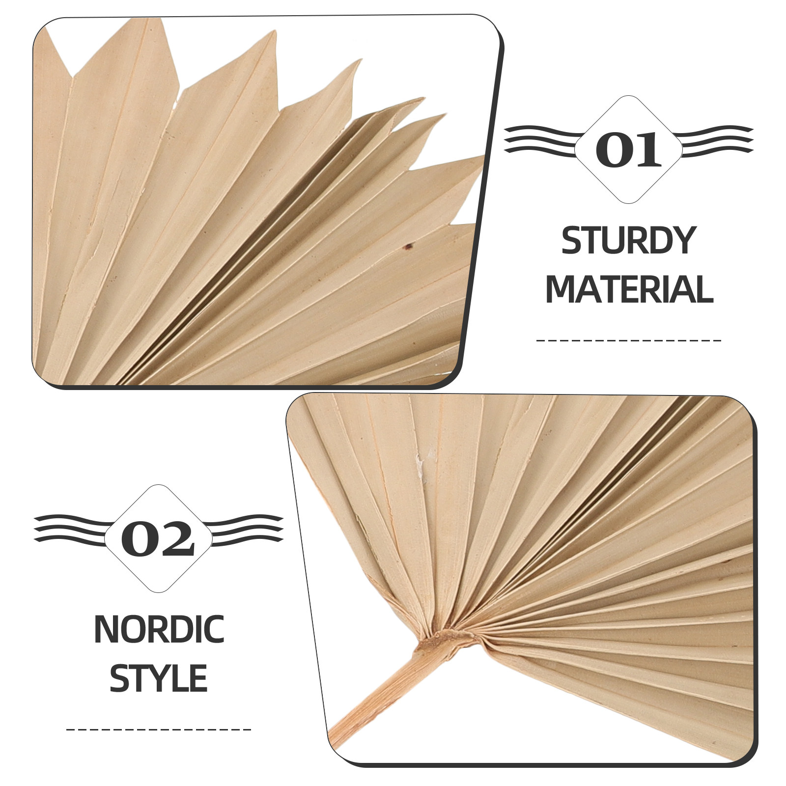 4Pcs Dried Palm Leaf Decoratio - Palm Leaf Dried 评论和价格