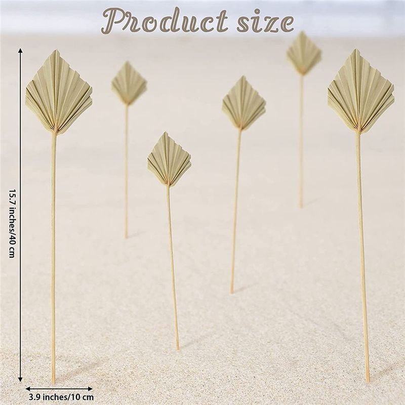 A36T-30 Pcs Boho Dried Palm Sp - Palm Leaf Dried 评论和价格
