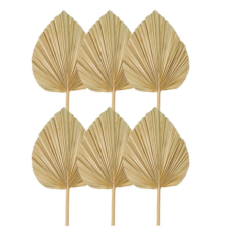 New 6PCS Dried Palm Leaves Nat - Palm Leaf Dried 评论和价格