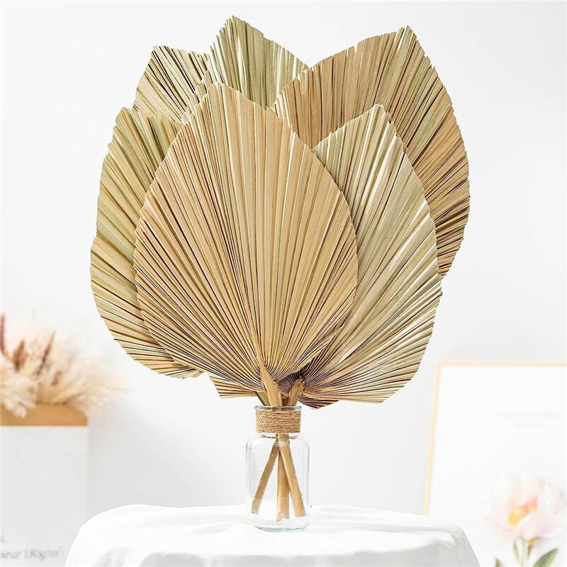 A27F-6Pcs Natural Tropical Dri - Palm Leaf Dried 评论和价格
