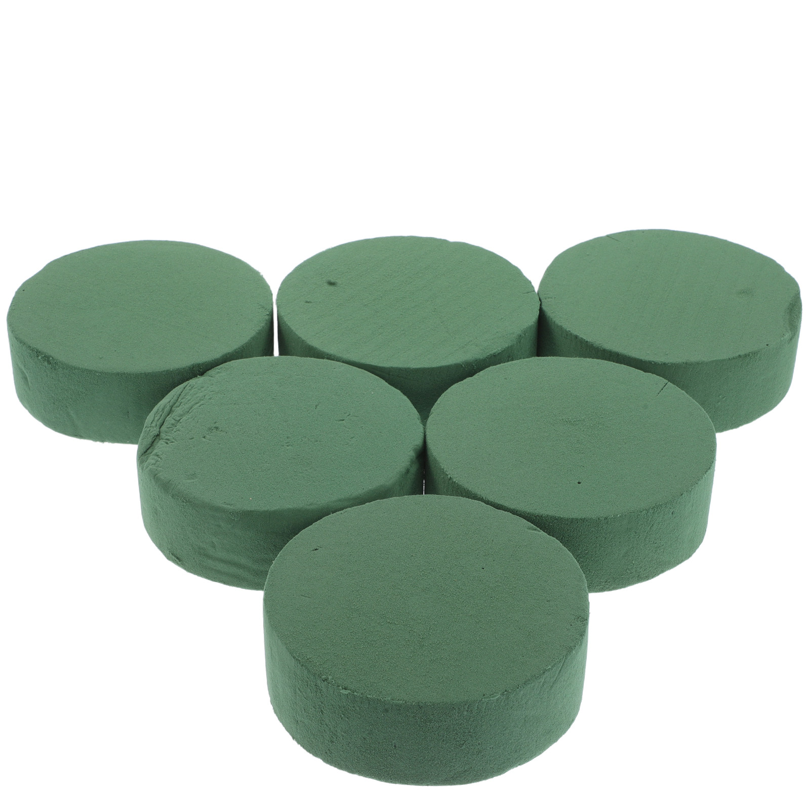 6Pcs Round Floral Foam Blocks  - Florist Flower Supply 评论和价格