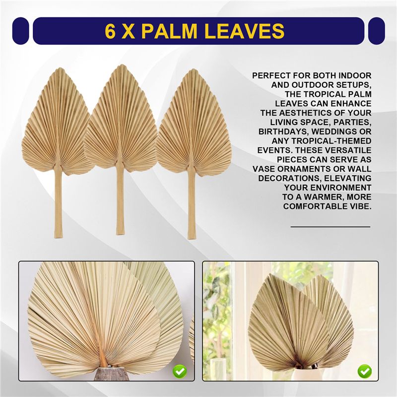 ABKO-6PCS Dried Palm Leaves Na - Palm Leaf Dried 评论和价格