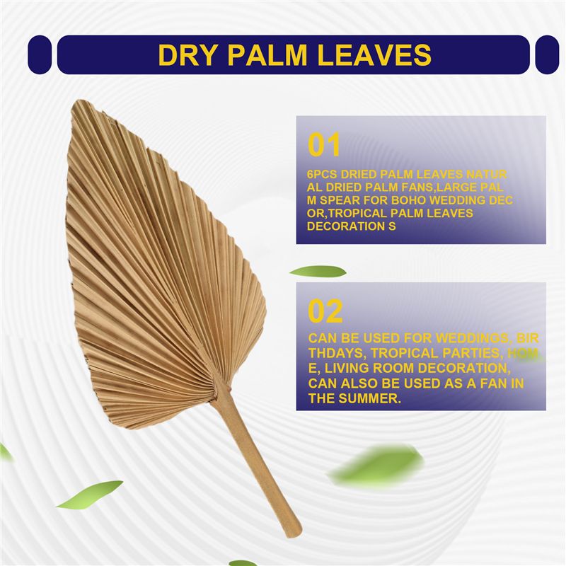 ABKO-6PCS Dried Palm Leaves Na - Palm Leaf Dried 评论和价格