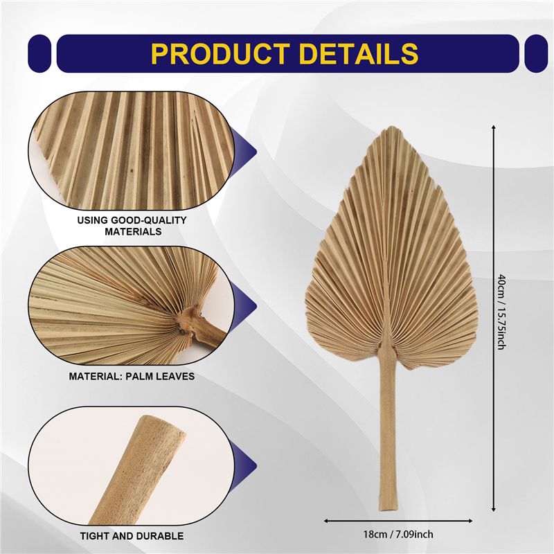 ABKO-6PCS Dried Palm Leaves Na - Palm Leaf Dried 评论和价格