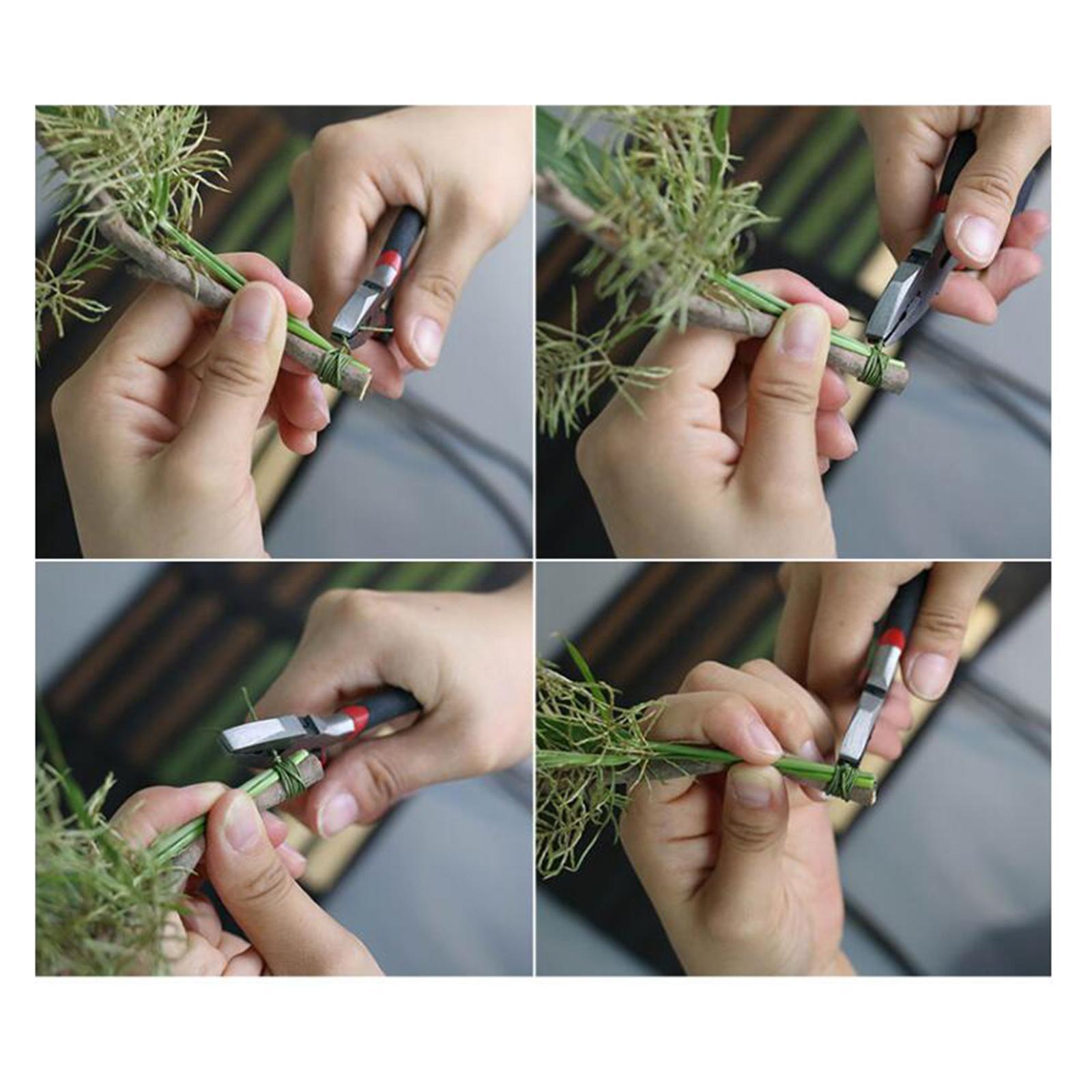 100x Florist Wire 16 Inches 22 - Wire Stem Florist 评论和价格