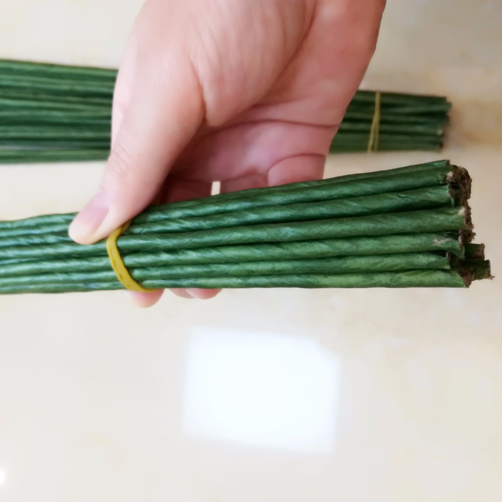 1mm 2/3/4/5mm 40/60cm Dark Gre - Wire Stem Florist 评论和价格